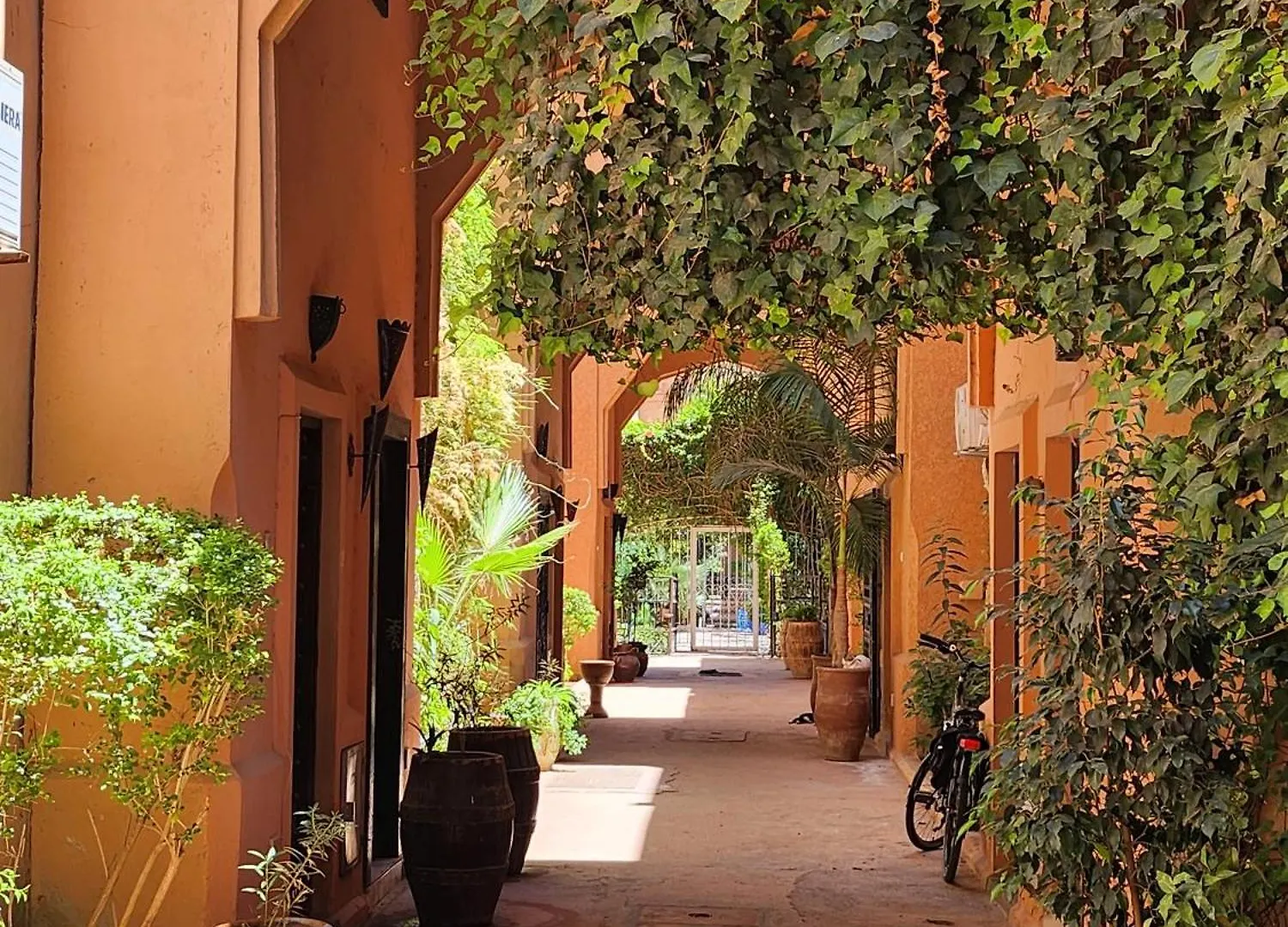 Riad With Outdoor Swimming Pools Marrakesh Maroc